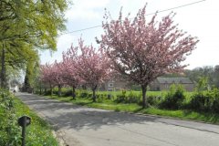 village